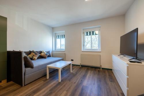 TV a/nebo společenská místnost v ubytování City Apartments Amstetten
