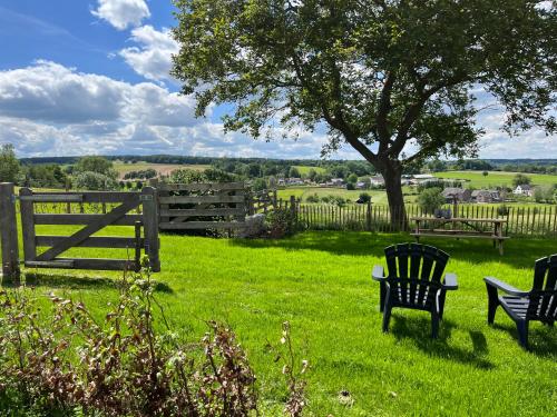two benches in a field with a fence and a tree at De Hoogstam in Vijlen
