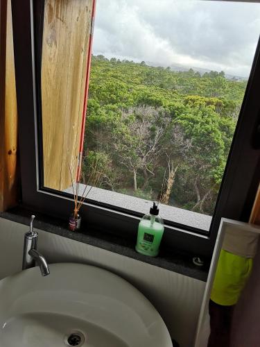 a bathroom with a sink and a window with a view at Retiro dos Bons Sinais in São Roque do Pico