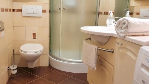 a bathroom with a shower and a toilet and a sink at Apartament Kalimera in Żarnowska