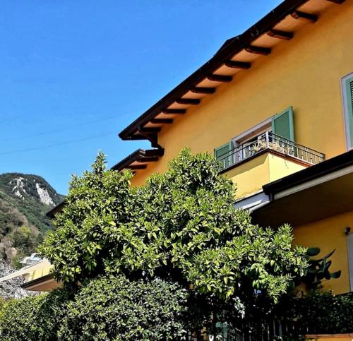 a yellow building with a tree in front of it at Casa Marta in Massa