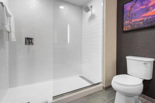 a bathroom with a shower with a white toilet at Cambria Hotel Downtown Asheville in Asheville