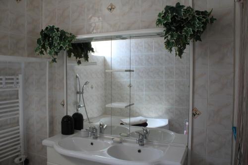 une salle de bain avec un lavabo, une douche et un miroir dans l'établissement App. 6 couchages 3 chambres Stationnement gratuit, à Béziers