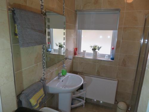 W łazience znajduje się umywalka i lustro. w obiekcie Sea breeze Cottage w mieście Dungloe