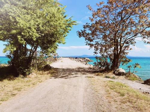 a dirt road next to the ocean with trees at Lovely studio apartment on the beach in Burgas City