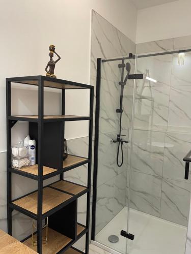 ein Bad mit einer Dusche und einer Glastür in der Unterkunft Apartman Mala in Zagreb