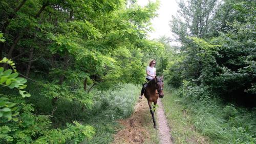 a woman riding a horse down a dirt road at Глемпінг Шатро in Ulʼyaniki