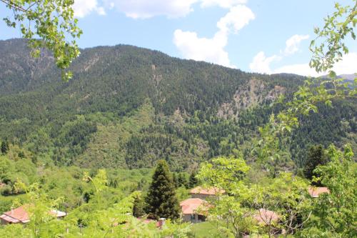 a view of a mountain with trees and houses at Elatou in Áno Khóra