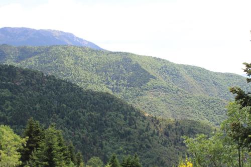 auliculiculiculiculiculiculiculiculiculiculiculiculiculiculic at Elatou in Áno Khóra