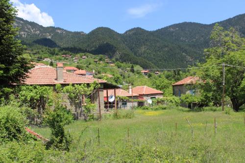 a group of houses in a field with mountains at Elatou in Áno Khóra