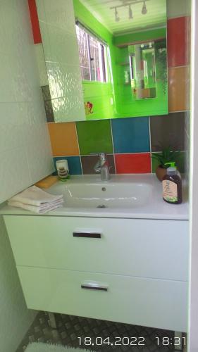 ein Badezimmer mit einem weißen Waschbecken und einer grünen Wand in der Unterkunft LES AMIS D'ULYSSE in Chagny