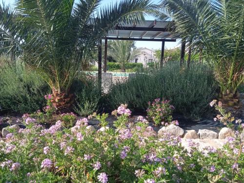 a garden with flowers and a gazebo at I 5 SENSI in Marina di Modica