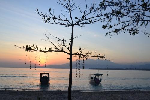 two boats sitting in the water near a tree at The Rabbit Tree Hostel in Gili Meno