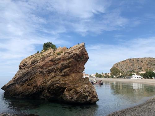 Φυσικό τοπίο κοντά σε αυτό το διαμέρισμα