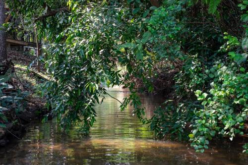 a body of water with trees over it at ชิดธาร รีสอร์ท in Ban Nong Hoi
