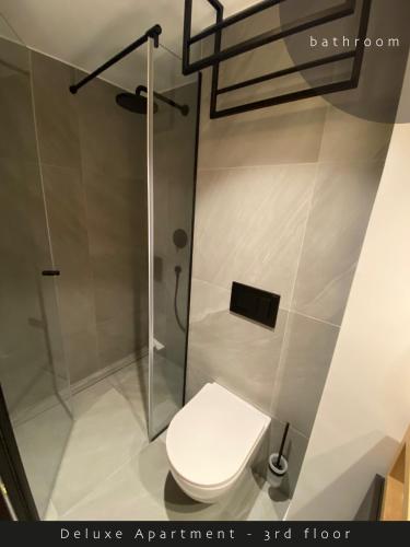 a bathroom with a toilet and a shower at Piran Rooftop Apartments in Piran