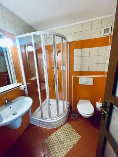 a bathroom with a shower and a toilet and a sink at Pensiunea Luiza in Braşov