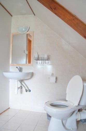 a bathroom with a toilet and a sink at Chata Nová Huť in Nové Hutě