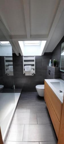 La salle de bains est pourvue d'un lavabo, de toilettes et d'une lucarne. dans l'établissement Chambre d'hôtes avec piscine au calme dans maison Basque, à Ascain