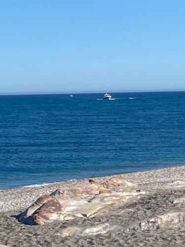Appartement Casares - Mer, Golf, Piscine, Padel - FINCA CORTESIN photo 16