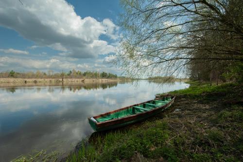 a green boat sitting on the side of a river at Dom całoroczny nad Bugiem in Wasilew Szlachecki