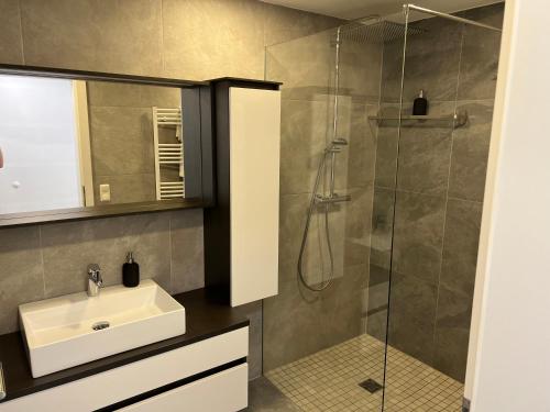 La salle de bains est pourvue d'un lavabo et d'une douche. dans l'établissement Ferienhaus Gmunden, à Gmunden