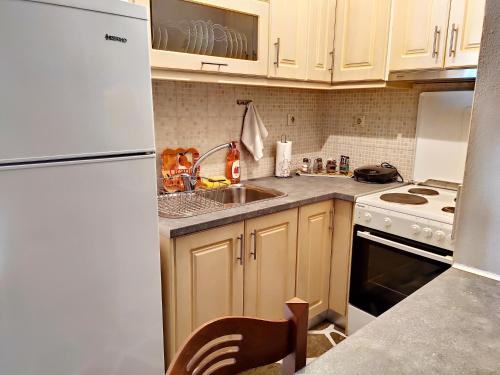 a kitchen with a white refrigerator and a sink at KERAMIDI GUESTHOUSE in Keramídhion