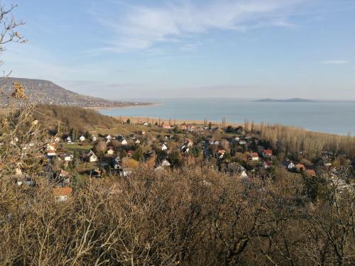 a town on a hill with the water in the background at Villa Pedro in Szigliget