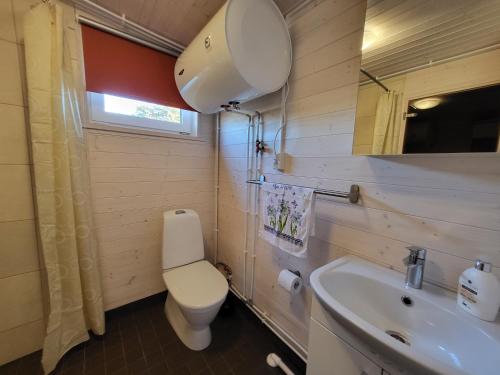 uma casa de banho com um WC, um lavatório e um espelho. em Mamma maja em Haapsalu