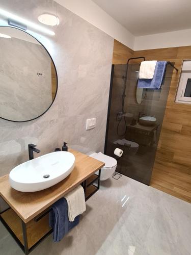 a bathroom with a sink and a toilet and a mirror at Apartments & Rooms Tom in Medulin