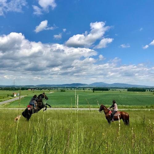a group of people riding horses in a field at Drewniany dom w brzozowisku in Pieszyce