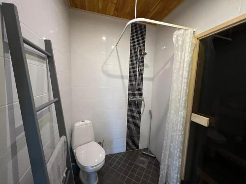 a bathroom with a toilet and a shower at Saunaga korter Pärnu ranna vahetus läheduses in Pärnu