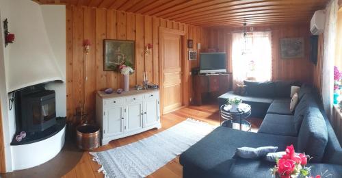 圖什比的住宿－Långtjärn 5, Torsby，客厅配有蓝色的沙发和电视