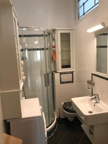 La salle de bains est pourvue d'une douche, d'un lavabo et de toilettes. dans l'établissement Nice apartment near Schönbrunn and downtown, à Vienne