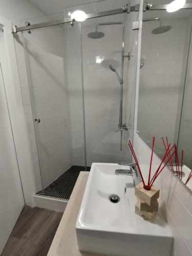 a bathroom with a white sink and a shower at Casa Giraldo sem Pavor in Évora