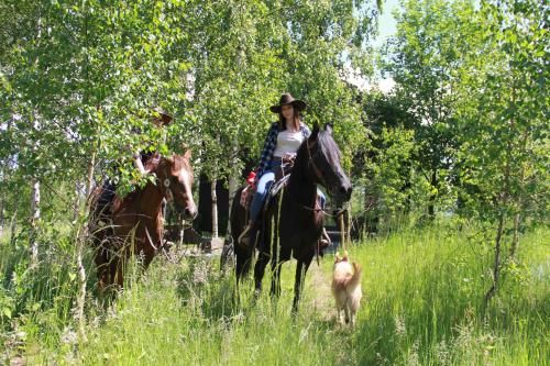 a woman riding a horse and a dog in a field at Drewniany dom w brzozowisku in Pieszyce