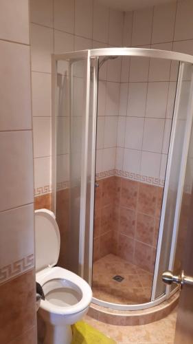 La salle de bains est pourvue d'une douche et de toilettes. dans l'établissement Апартамент студио в затворен комплекс в гр.Банско, à Bansko