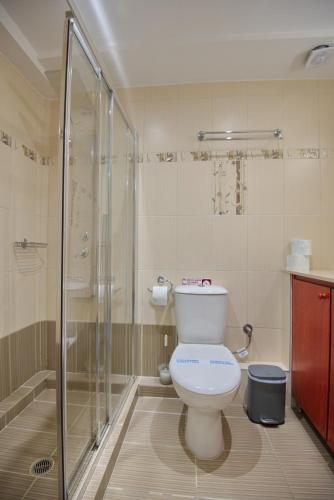 a bathroom with a toilet and a shower at Pension Votsi in Votsi