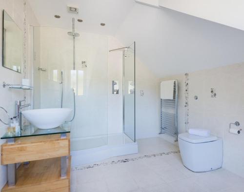 a bathroom with a sink and a shower and a toilet at The Wrens in Polzeath