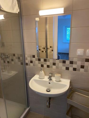 Ein Badezimmer in der Unterkunft Hostinec U Pejska a Kocicky