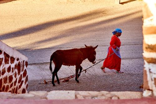 a woman walking a donkey down a street at Auberge Restaurant Telouet in Telouet