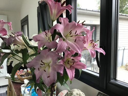 un vase de fleurs roses sur une table à côté d'une fenêtre dans l'établissement A la guiniere, à Couëron