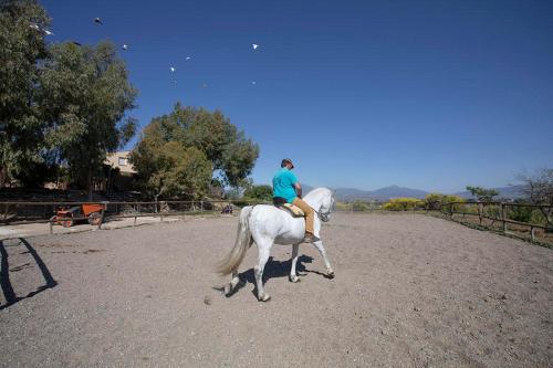 a woman riding a white horse on a road at Casas rurales Da Luigi-Cabañas-4 adultos y 2 niños-Totalmente Nuevas- Piscina-Paseos a caballo-Cártama-Málaga-Ideal niños in Cártama