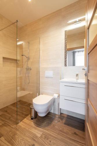 a bathroom with a toilet and a shower and a sink at HAPPY81 noclegi - 3,5km Energylandia in Zator