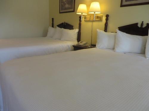 two beds in a hotel room with white sheets at Honeysuckle Inn in Mountain View