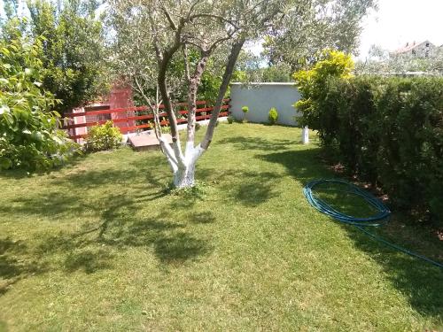 Gallery image of Apartmani Sofija in Nov Dojran