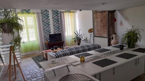 Tournus Castrum Romain- Loft 90m2 - 3 Étoiles - petit Box Vélo - 5mn Autoroute