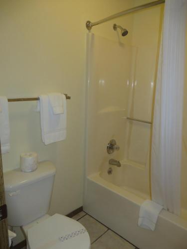a bathroom with a white toilet and a shower at Honeysuckle Inn in Mountain View