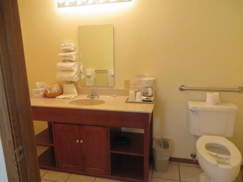 a bathroom with a sink and a toilet and a mirror at Honeysuckle Inn in Mountain View