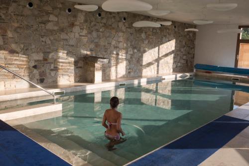 Bazén v ubytování Sasseta Alta nebo v jeho okolí
